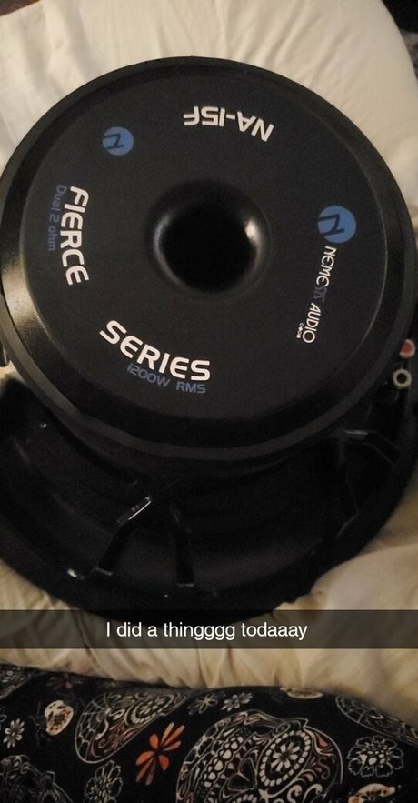 laceylanefree Profile image