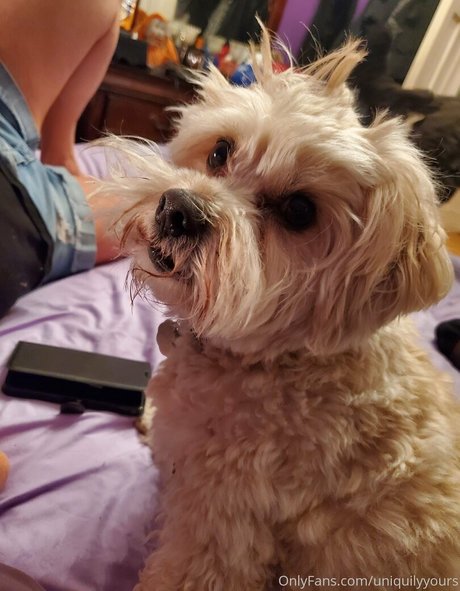 uniquilyyours new leaked onlyfans