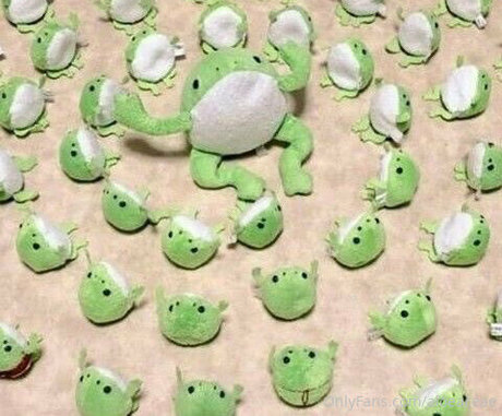 aloeaceae onlyfans sex leak