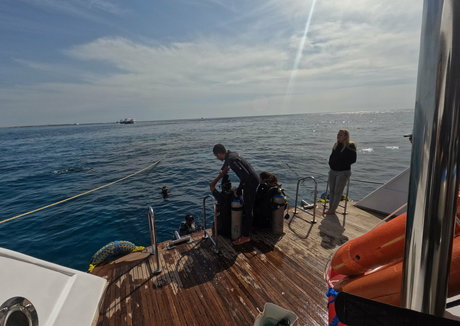 babylonias Profile image