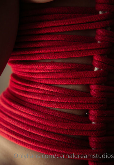 carnaldreamstudios onlyfans nudes