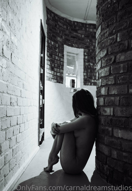 carnaldreamstudios en onlyfans