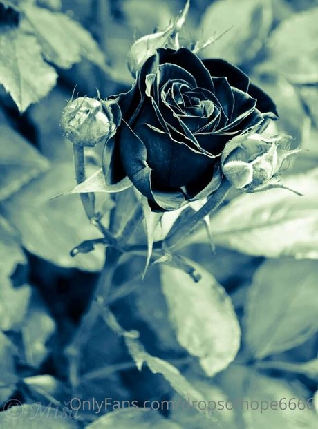 mydarkside6666 Profile image