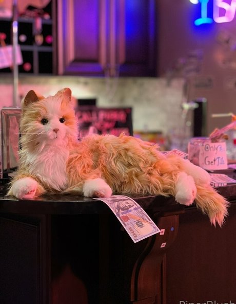 piperblushfree leaked onlyfans pics