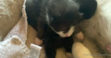 Spellbound only fans leaked porn