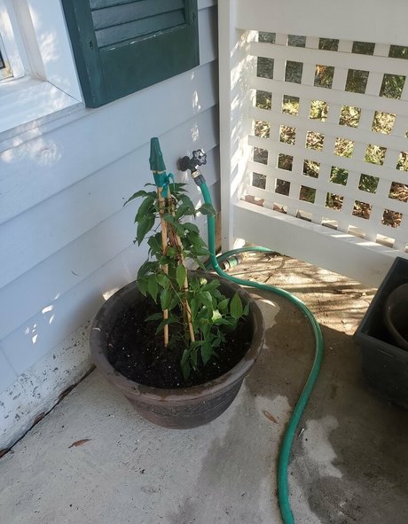 bee88i leaks onlyfans