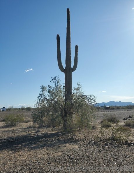 bee88i onlyfans porn free