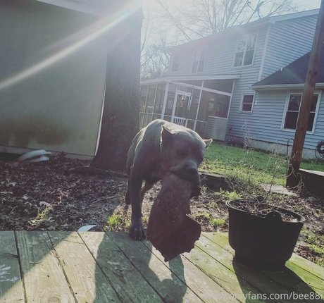 bee88i only fans leak porn