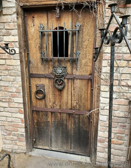 bee88i onlyfans sexy