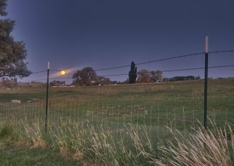 bee88i leaks onlyfans