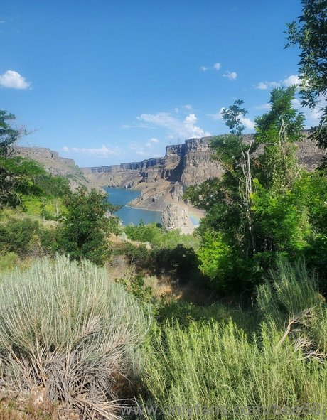 bee88i nude porn onlyfans