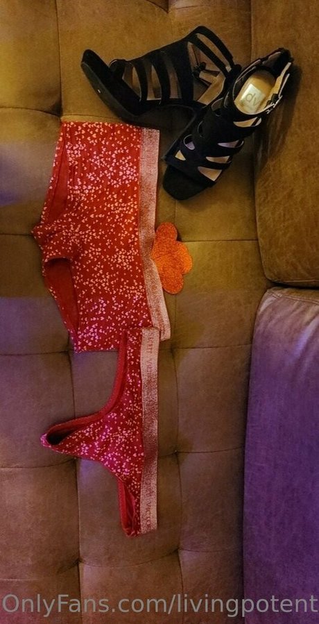 disabled onlyfans hd capture