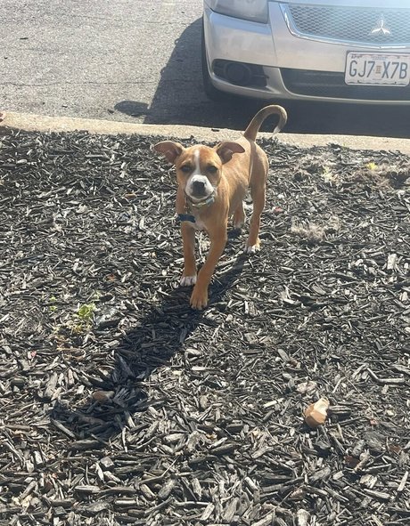 books withaeri only fans photos