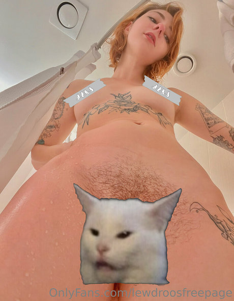 lewdroosfreepage onlyfans leak