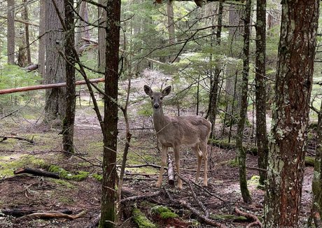 kmonogamishfree only fans nudes