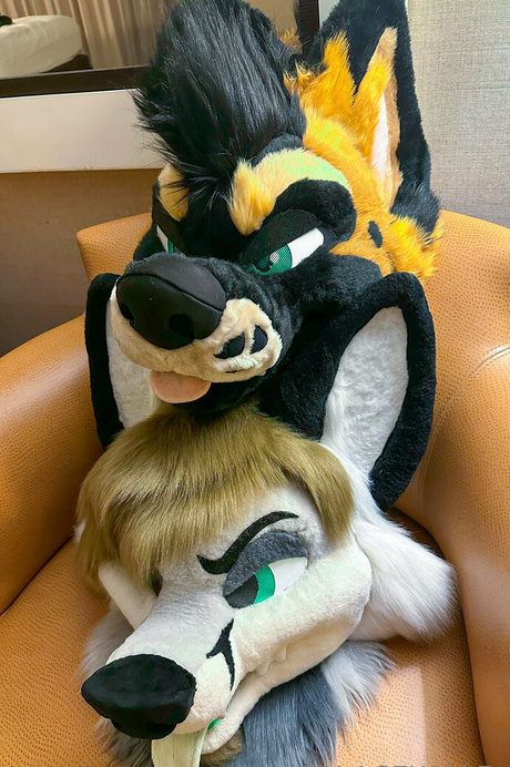 palacewolf onlyfans nide