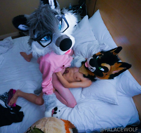 palacewolf onlyfans boobs