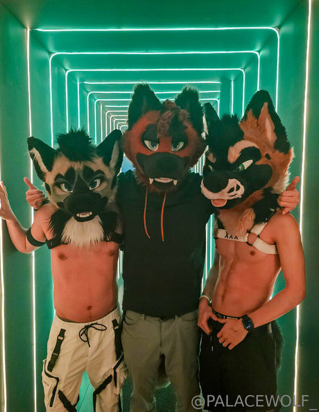 palacewolf leaked onlyfans xxx