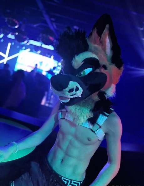 palacewolf only fans pictures