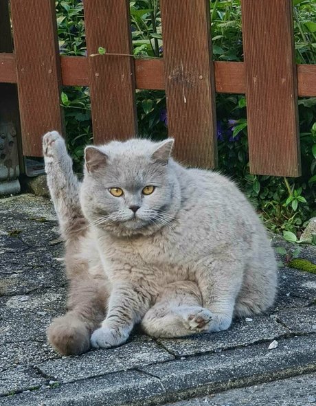 milashiroki onlyfans leams