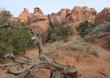 aspensnow free free onlyfans