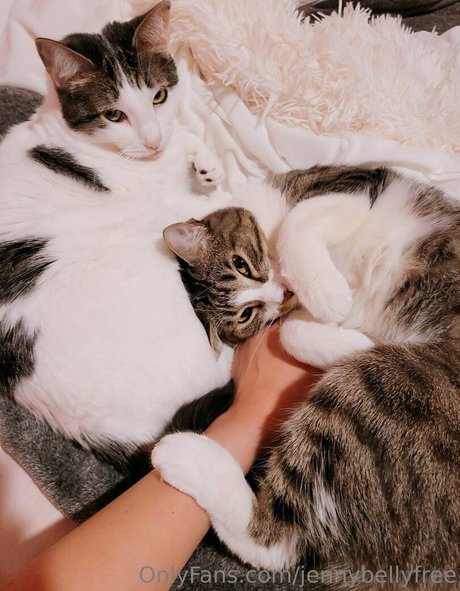 jennybellyfree onlyfans xxx