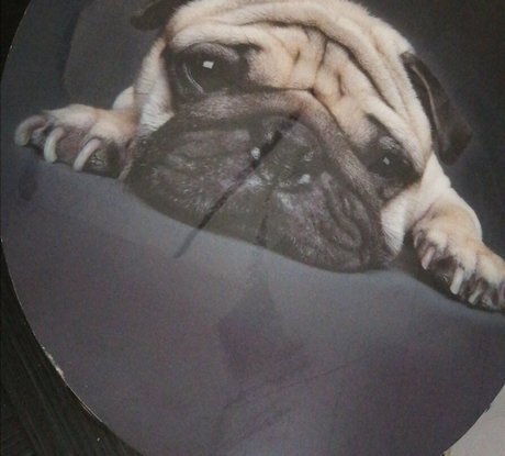 laly911 free only fans xxx