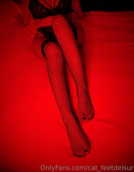 cat feetdelsur onlyfans for free