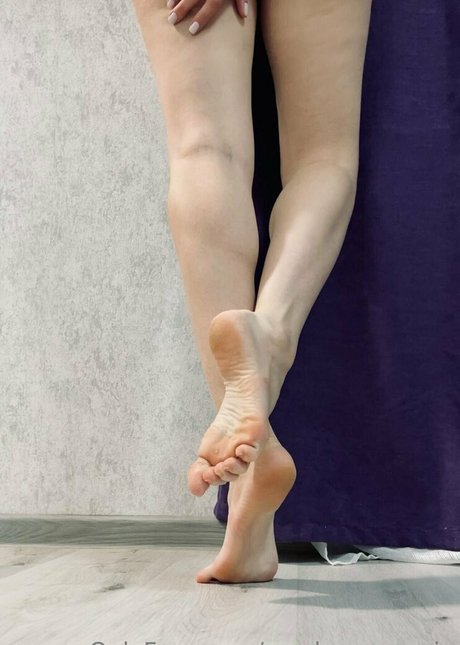 masha may vip  illustration