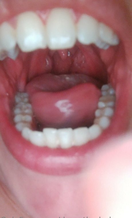 dana the lady vore onlyfans mega