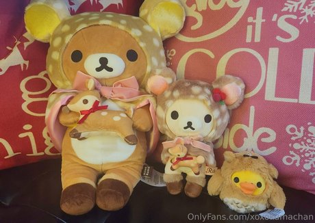 xoxokumachan onlyfans leaked nude