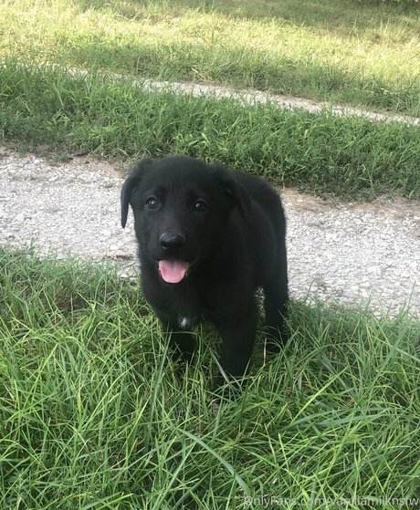 Villainous Coochie leaked onlyfans xxx