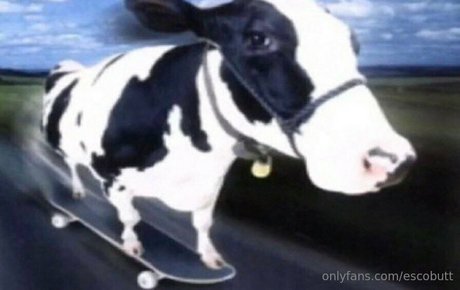 escobutt leak only fans