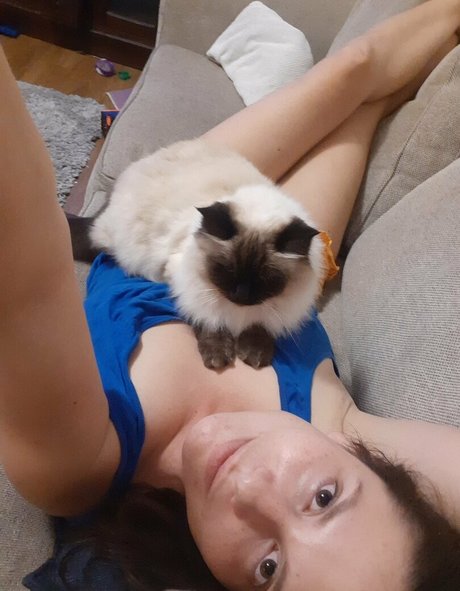 aussielilyfox Profile image