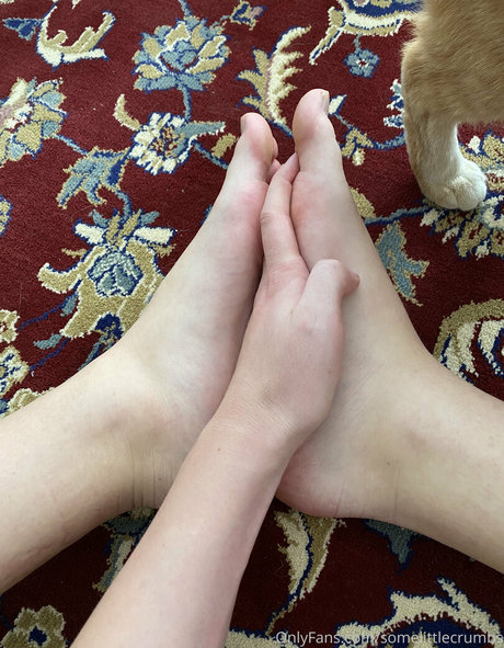 somelittlecrumbs onlyfans archives