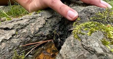 solecirilla onlyfans archives