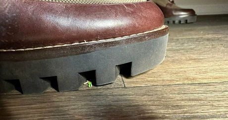 solecirilla onlyfans leak