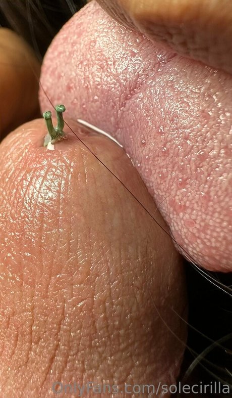 solecirilla leak onlyfans