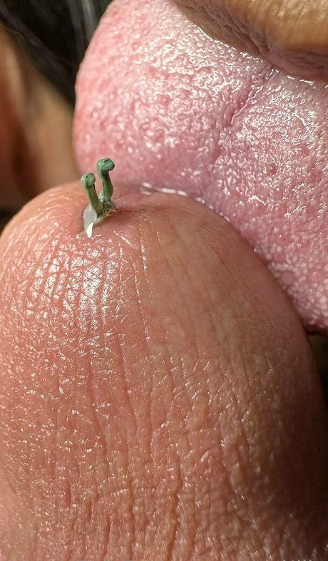 solecirilla leaked onlyfans sex