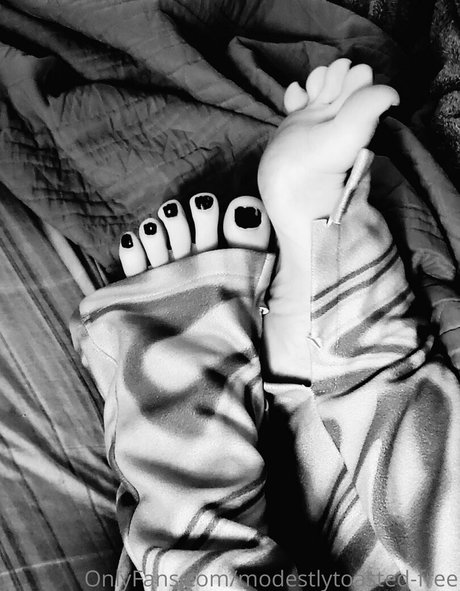 modestlytoasted free  snapshot