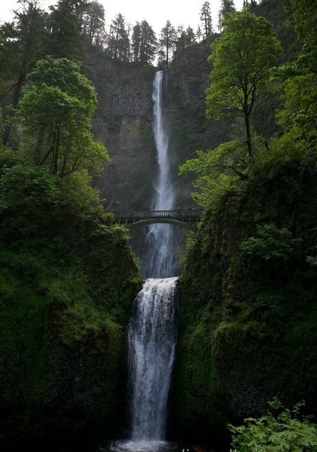 alignedbyjuniper onlyfans leak