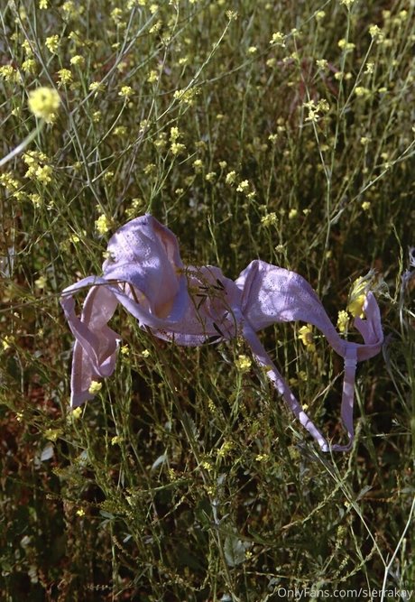 sierrakay xxx onlyfans