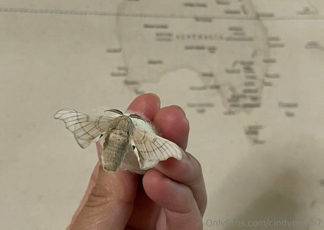 cindymoon7 leaked onlyfans nudes