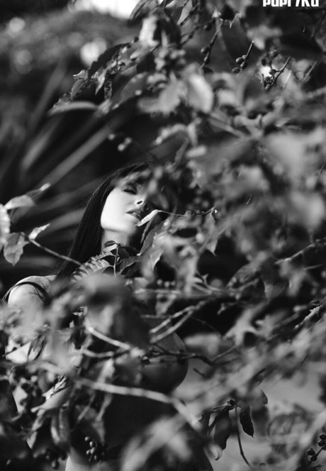 black shemale onlyfans free xxx negative