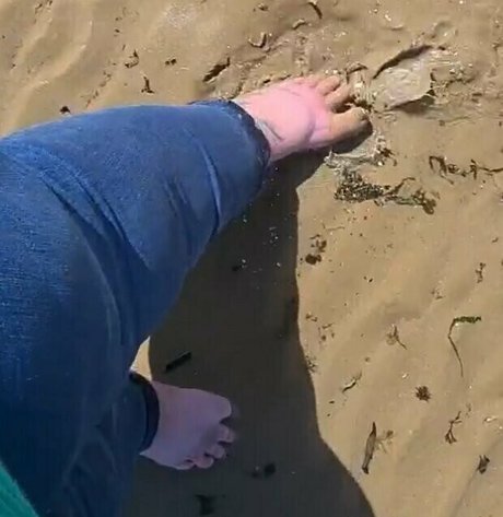 abigailbarrybbw nudes leaked onlyfans