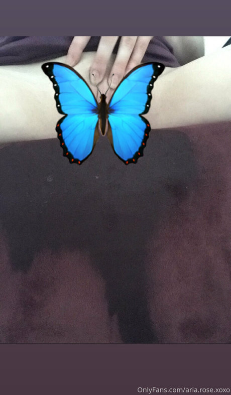 aria rose xoxo boobs onlyfans