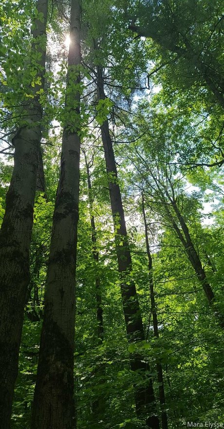 mara elysse onlyfans xxx