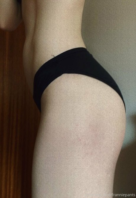 feedfrankiefree onlyfans leak new