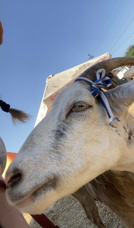 florence agapi onlyfans leak