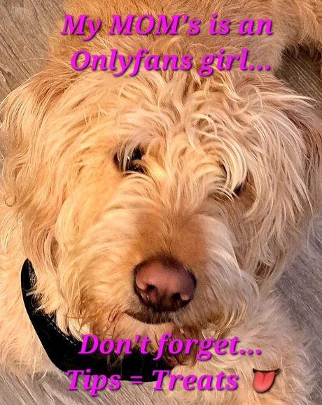 tennesseegirl72 free onlyfans porn